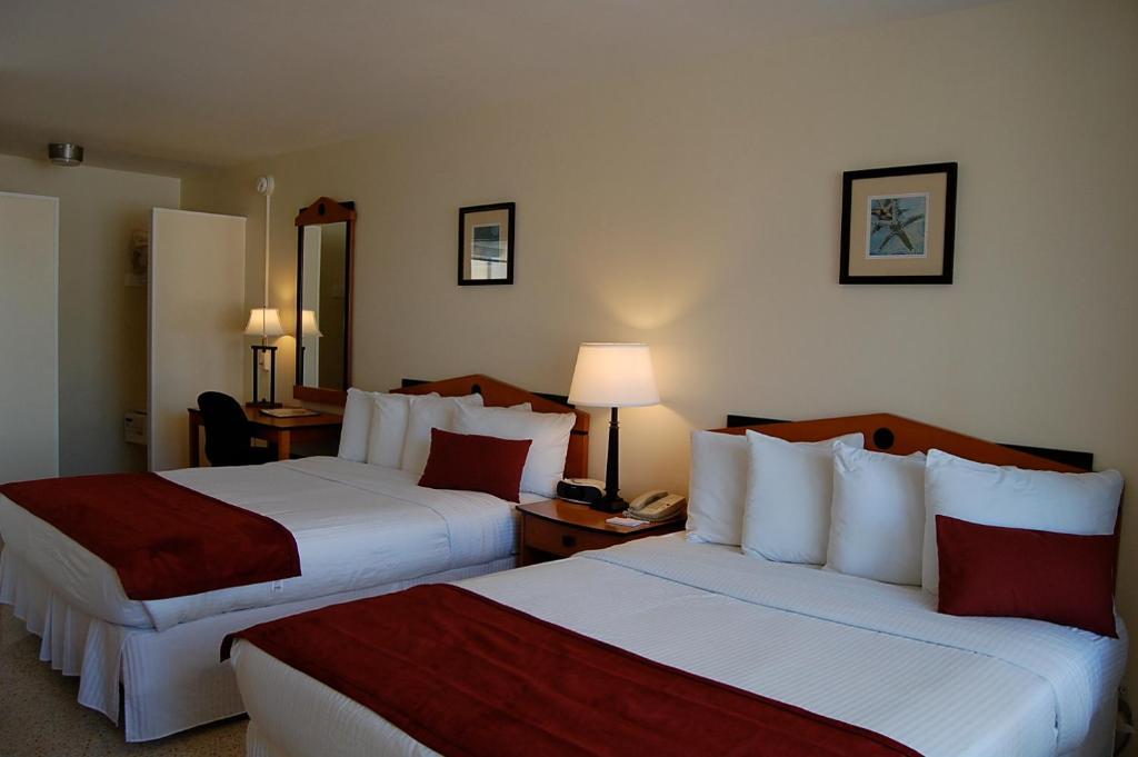 Alcazar Resort- Gay Mens Resort Fort Lauderdale Phòng bức ảnh